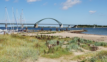 Ausbildungsmessen in Mecklenburg-Vorpommern